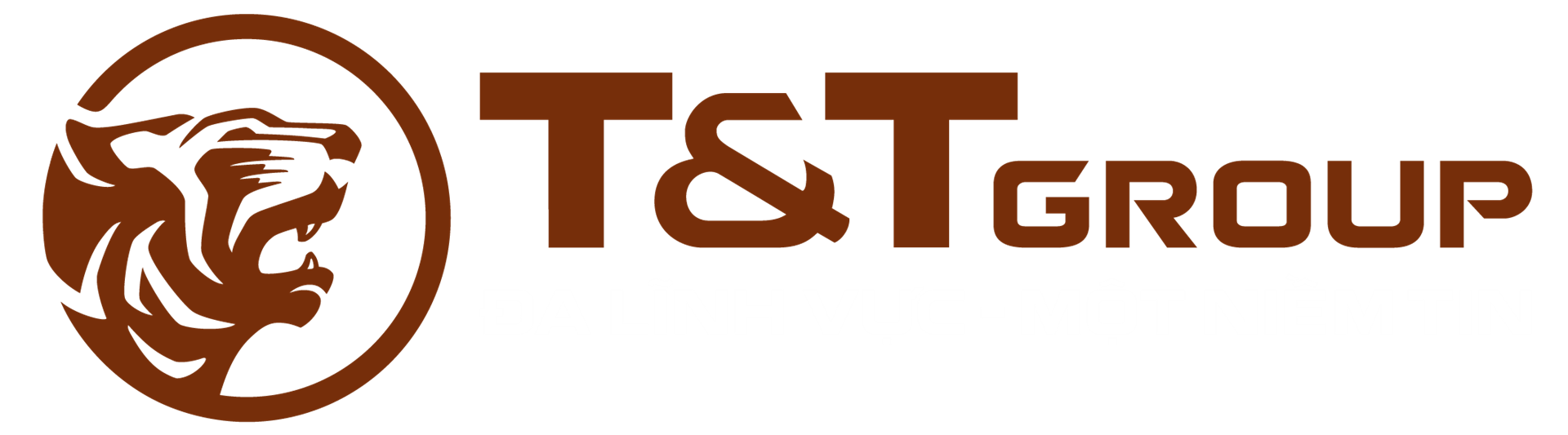 Website Tập đoàn T&T