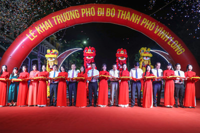 Vinh Long opens walking street at T&T Group project
