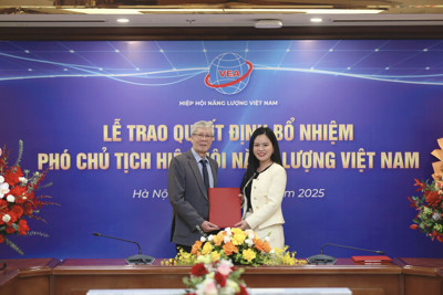 T&T Group senior leader appointed Vice President of Vietnam Energy Association