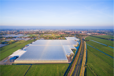 AGRICULTURAL DEVELOPMENTS
